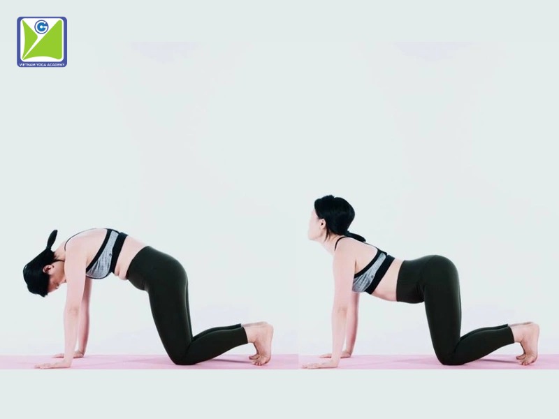 tu-the-meo-bo-trong-yoga-chua-dau-lung